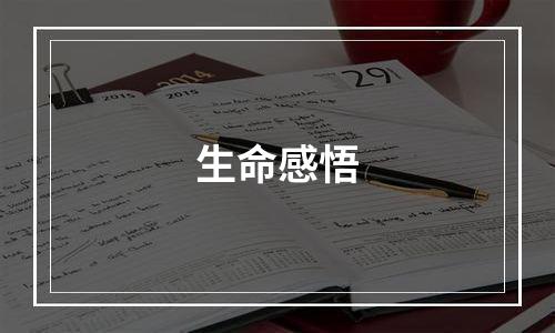 生命感悟