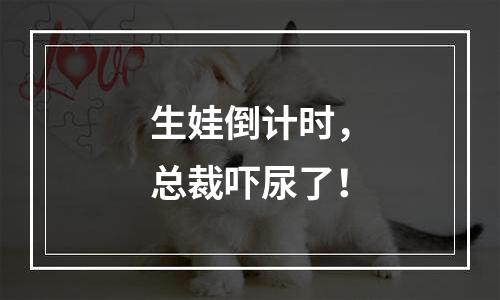 生娃倒计时，总裁吓尿了！