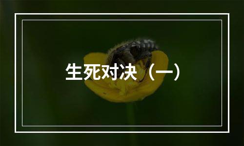 生死对决（一）