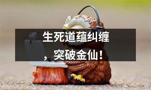 生死道蕴纠缠，突破金仙！