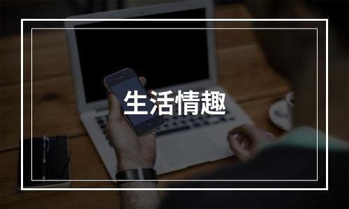 生活情趣