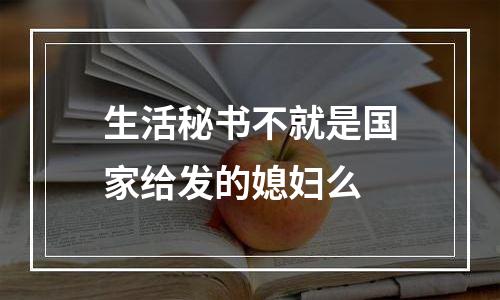 生活秘书不就是国家给发的媳妇么
