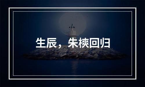 生辰，朱樉回归