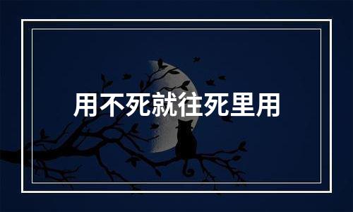用不死就往死里用