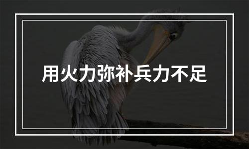 用火力弥补兵力不足