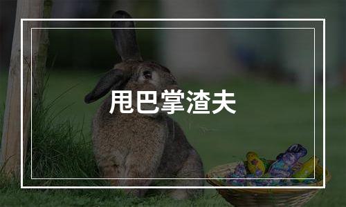 甩巴掌渣夫