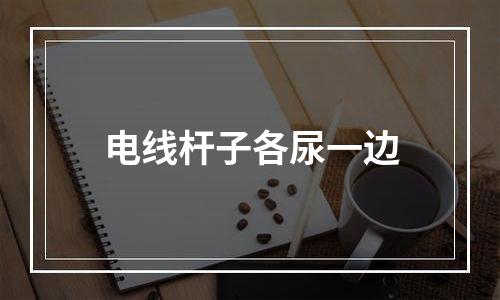 电线杆子各尿一边
