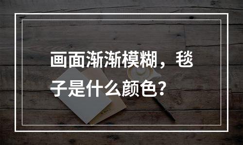 画面渐渐模糊，毯子是什么颜色？