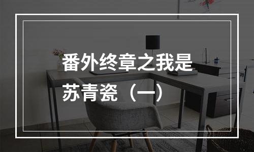 番外终章之我是苏青瓷（一）
