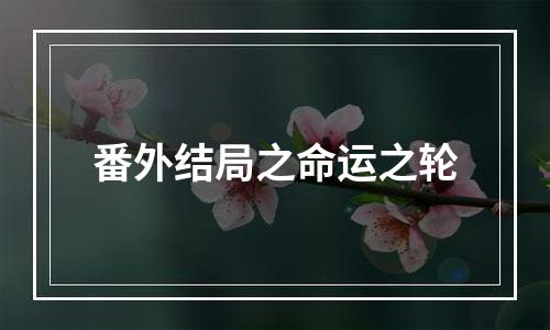番外结局之命运之轮