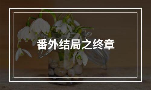 番外结局之终章