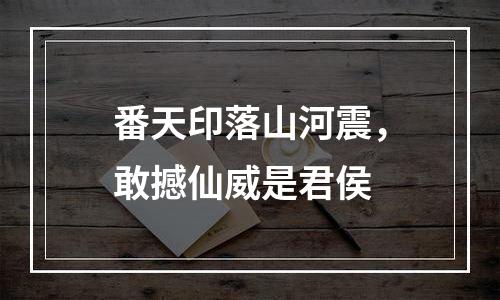 番天印落山河震，敢撼仙威是君侯