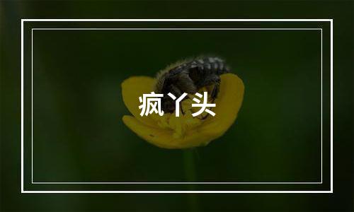 疯丫头