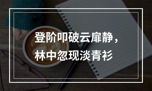 登阶叩破云扉静，林中忽现淡青衫