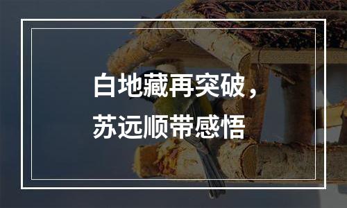 白地藏再突破，苏远顺带感悟