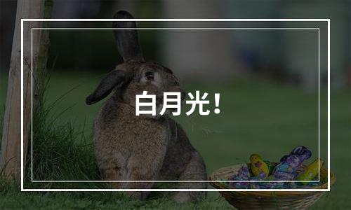 白月光！