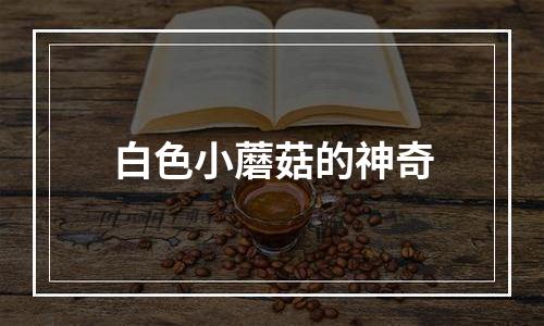 白色小蘑菇的神奇