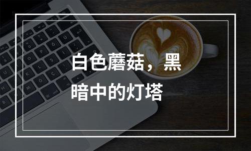 白色蘑菇，黑暗中的灯塔