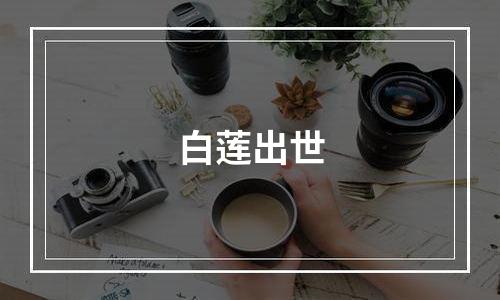 白莲出世