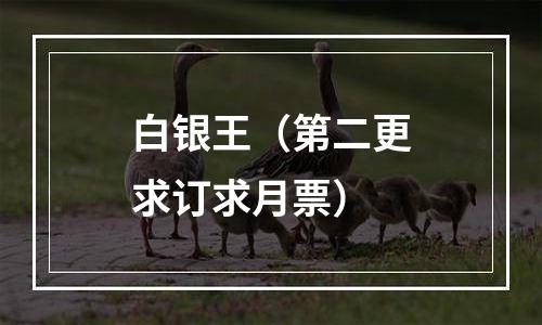 白银王（第二更求订求月票）