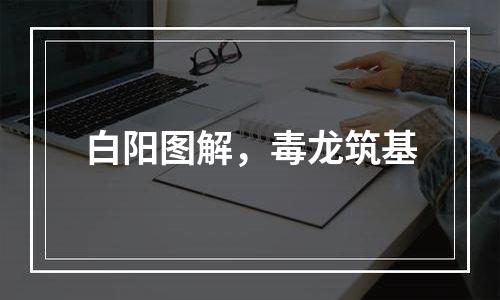 白阳图解，毒龙筑基