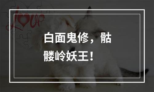 白面鬼修，骷髅岭妖王！