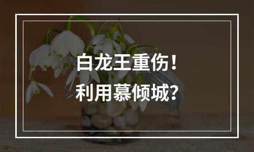 白龙王重伤！利用慕倾城？
