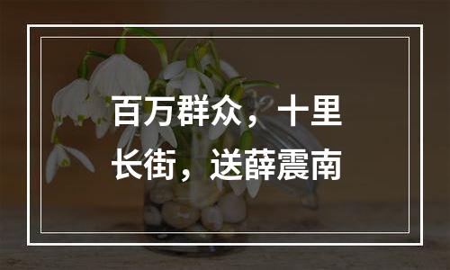 百万群众，十里长街，送薛震南