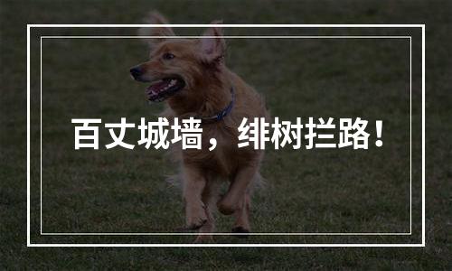 百丈城墙，绯树拦路！
