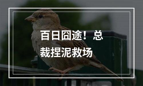百日囧途！总裁捏泥救场