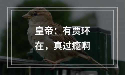 皇帝：有贾环在，真过瘾啊