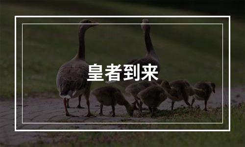皇者到来