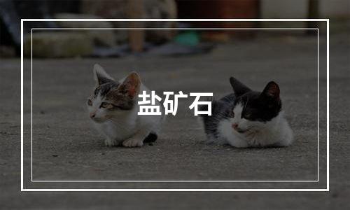 盐矿石