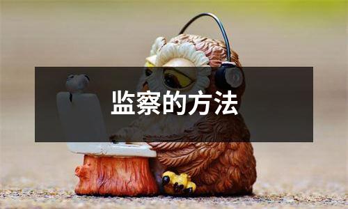 监察的方法