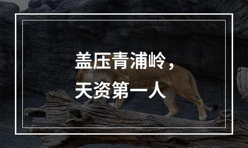 盖压青浦岭，天资第一人