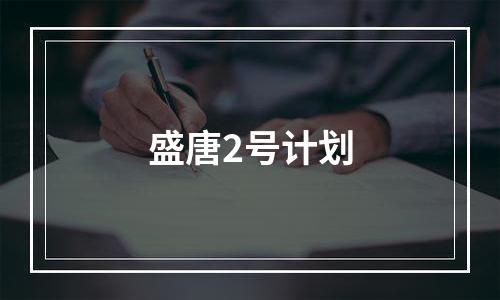 盛唐2号计划