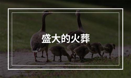 盛大的火葬