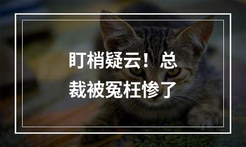 盯梢疑云！总裁被冤枉惨了