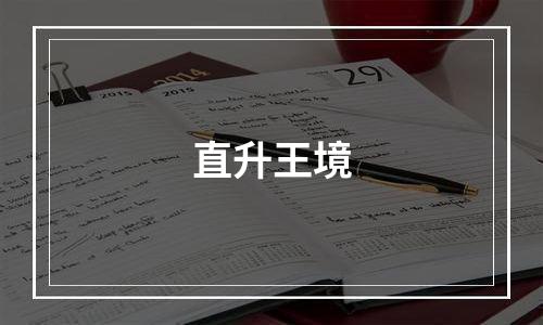 直升王境