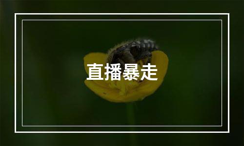 直播暴走