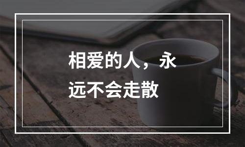 相爱的人，永远不会走散