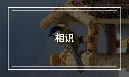 相识