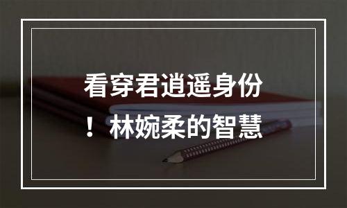 看穿君逍遥身份！林婉柔的智慧