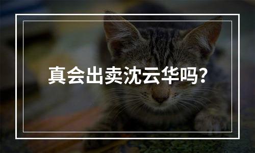 真会出卖沈云华吗？