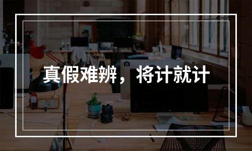 真假难辨，将计就计