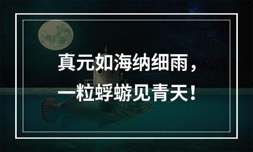 真元如海纳细雨，一粒蜉蝣见青天！