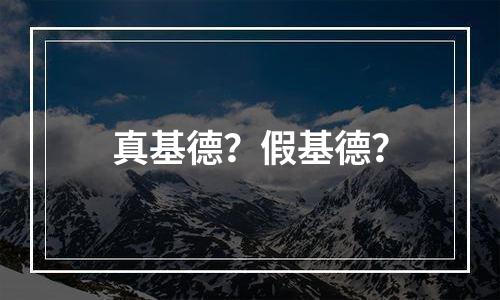 真基德？假基德？