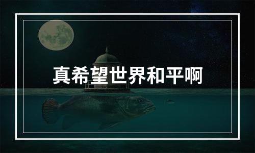 真希望世界和平啊