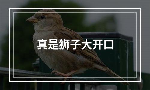 真是狮子大开口