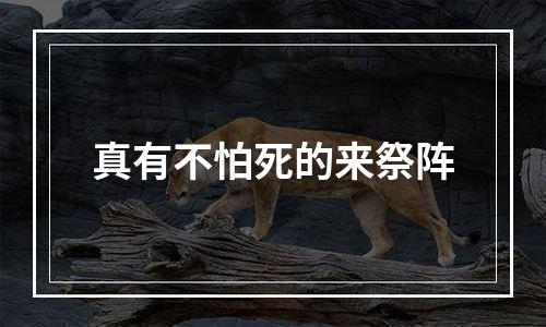 真有不怕死的来祭阵